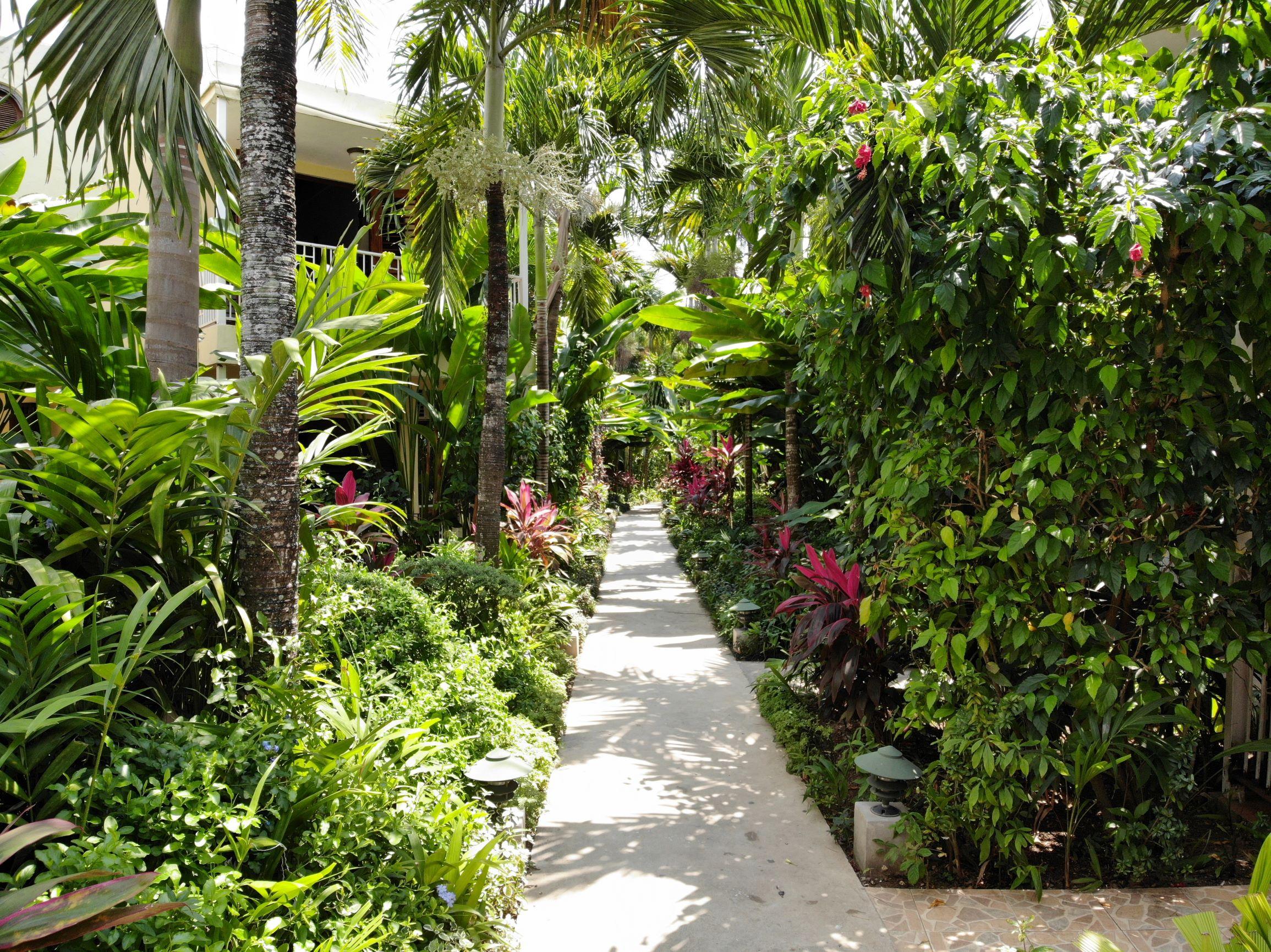 Hotel Negril Palms Esterno foto