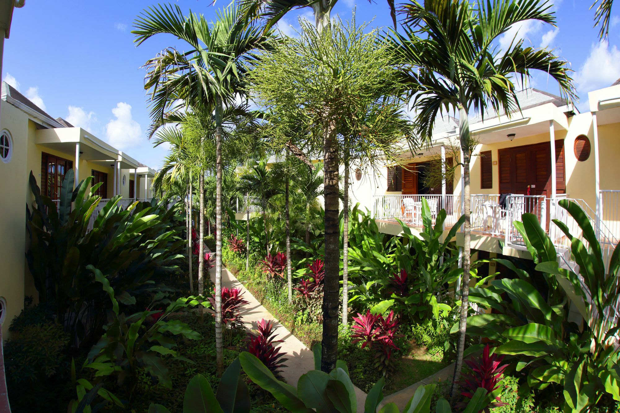 Hotel Negril Palms Esterno foto